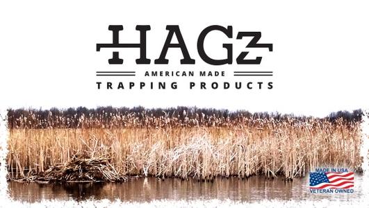 The HAGz Bracket and Spring Clip System