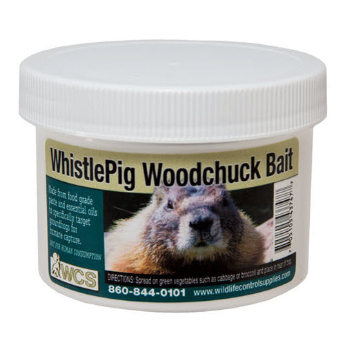 WCS Whistle Pig