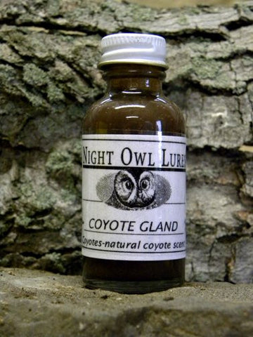 Night Owl Lures Coyote Gland