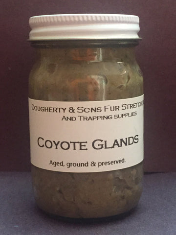 Coyotes Glands (aged)